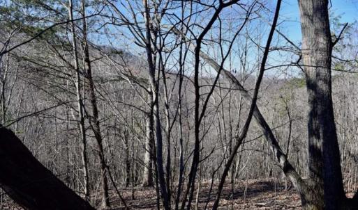 Photo of SOLD!!  6 Acres of Hunting and Residential Land For Sale in Franklin County VA!