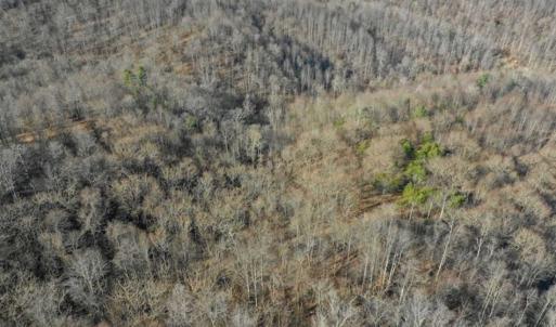 Photo of SOLD!!  6 Acres of Hunting and Residential Land For Sale in Franklin County VA!