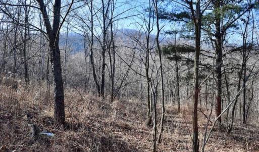 Photo of SOLD!!  6 Acres of Hunting and Residential Land For Sale in Franklin County VA!