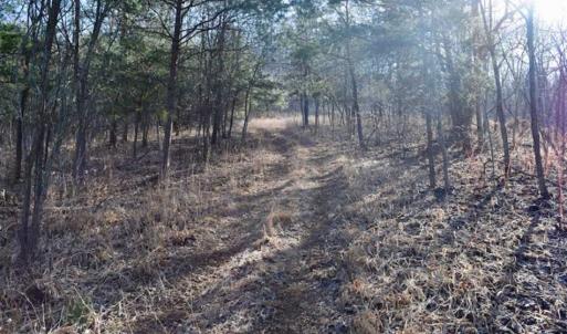 Photo of SOLD!!  6 Acres of Hunting and Residential Land For Sale in Franklin County VA!