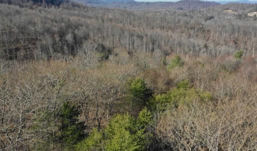 Photo of SOLD!!  6 Acres of Hunting and Residential Land For Sale in Franklin County VA!
