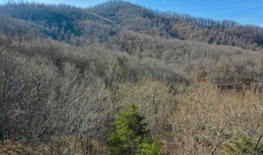 Photo of SOLD!!  6 Acres of Hunting and Residential Land For Sale in Franklin County VA!