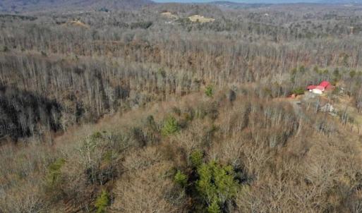 Photo of SOLD!!  6 Acres of Hunting and Residential Land For Sale in Franklin County VA!
