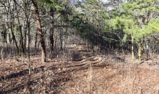 Photo of SOLD!!  6 Acres of Hunting and Residential Land For Sale in Franklin County VA!