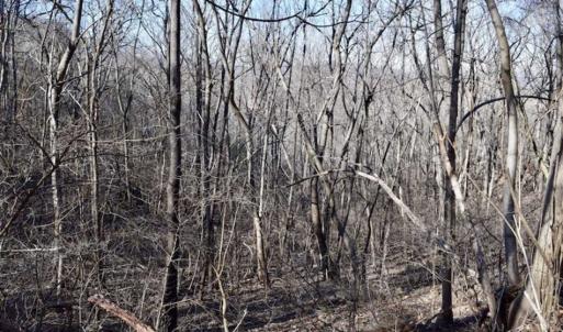Photo of SOLD!!  6 Acres of Hunting and Residential Land For Sale in Franklin County VA!