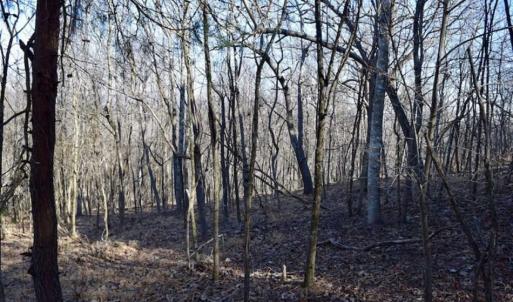Photo of SOLD!!  6 Acres of Hunting and Residential Land For Sale in Franklin County VA!