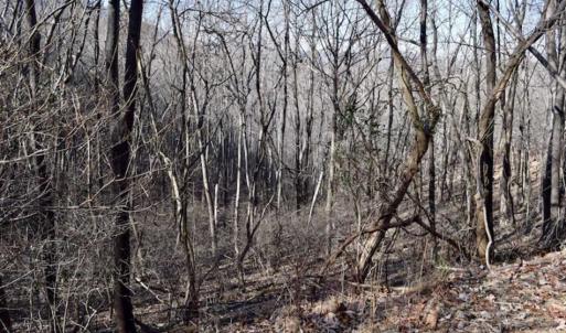 Photo of SOLD!!  6 Acres of Hunting and Residential Land For Sale in Franklin County VA!