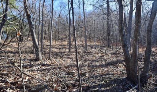 Photo of SOLD!!  6 Acres of Hunting and Residential Land For Sale in Franklin County VA!