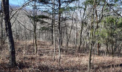 Photo of SOLD!!  6 Acres of Hunting and Residential Land For Sale in Franklin County VA!