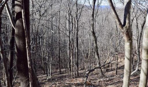 Photo of SOLD!!  6 Acres of Hunting and Residential Land For Sale in Franklin County VA!