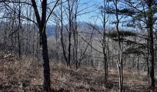 Photo of SOLD!!  6 Acres of Hunting and Residential Land For Sale in Franklin County VA!