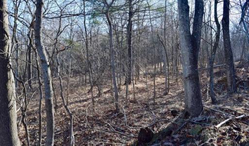 Photo of SOLD!!  6 Acres of Hunting and Residential Land For Sale in Franklin County VA!