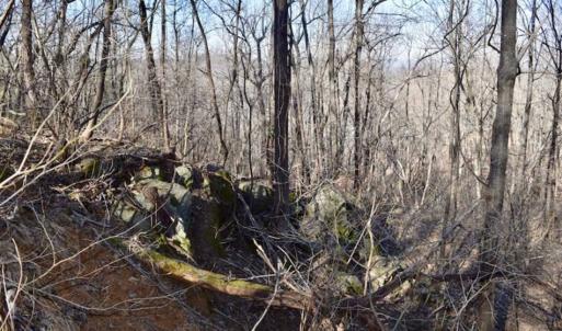 Photo of SOLD!!  6 Acres of Hunting and Residential Land For Sale in Franklin County VA!