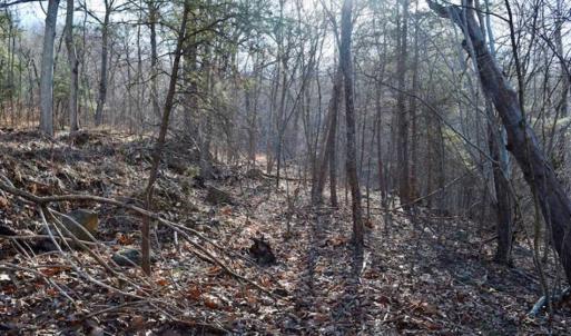 Photo of SOLD!!  6 Acres of Hunting and Residential Land For Sale in Franklin County VA!
