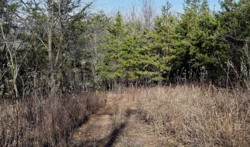 Photo of SOLD!!  6 Acres of Hunting and Residential Land For Sale in Franklin County VA!
