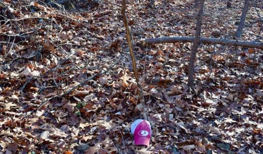 Photo of SOLD!!  6 Acres of Hunting and Residential Land For Sale in Franklin County VA!