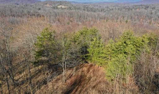 Photo of SOLD!!  6 Acres of Hunting and Residential Land For Sale in Franklin County VA!