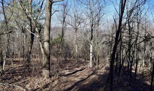 Photo of SOLD!!  6 Acres of Hunting and Residential Land For Sale in Franklin County VA!
