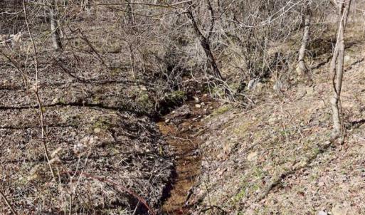 Photo of SOLD!!  81 Acres of Hunting and Recreational Land For Sale in Franklin County VA!
