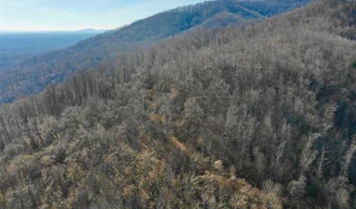 Photo of SOLD!!  81 Acres of Hunting and Recreational Land For Sale in Franklin County VA!