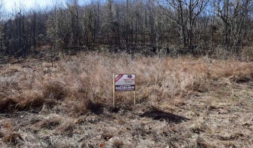 Photo of SOLD!!  81 Acres of Hunting and Recreational Land For Sale in Franklin County VA!
