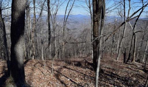 Photo of SOLD!!  81 Acres of Hunting and Recreational Land For Sale in Franklin County VA!