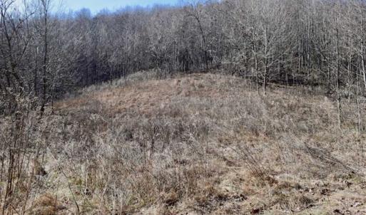 Photo of SOLD!!  81 Acres of Hunting and Recreational Land For Sale in Franklin County VA!