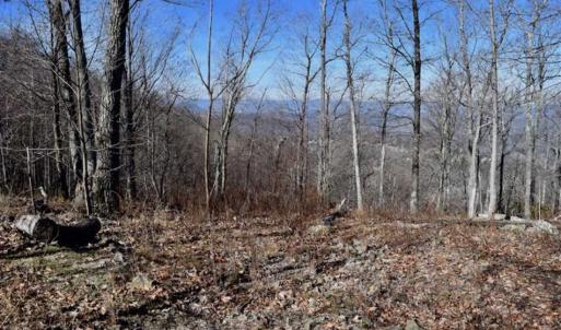 Photo of SOLD!!  81 Acres of Hunting and Recreational Land For Sale in Franklin County VA!