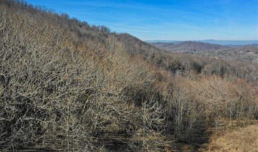 Photo of SOLD!!  81 Acres of Hunting and Recreational Land For Sale in Franklin County VA!