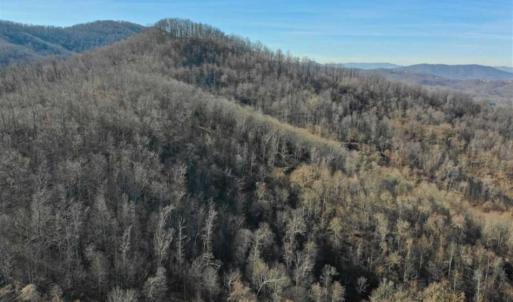 Photo of SOLD!!  81 Acres of Hunting and Recreational Land For Sale in Franklin County VA!