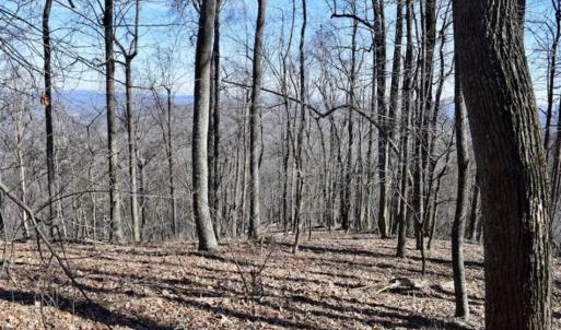 Photo of SOLD!!  81 Acres of Hunting and Recreational Land For Sale in Franklin County VA!