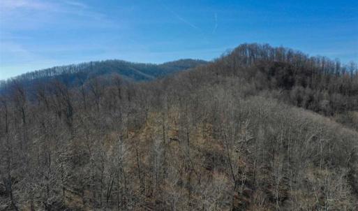 Photo of SOLD!!  81 Acres of Hunting and Recreational Land For Sale in Franklin County VA!