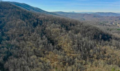 Photo of SOLD!!  81 Acres of Hunting and Recreational Land For Sale in Franklin County VA!