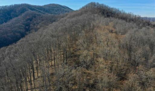 Photo of SOLD!!  81 Acres of Hunting and Recreational Land For Sale in Franklin County VA!