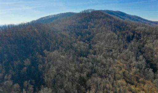 Photo of SOLD!!  81 Acres of Hunting and Recreational Land For Sale in Franklin County VA!