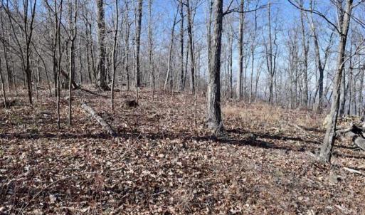 Photo of SOLD!!  81 Acres of Hunting and Recreational Land For Sale in Franklin County VA!