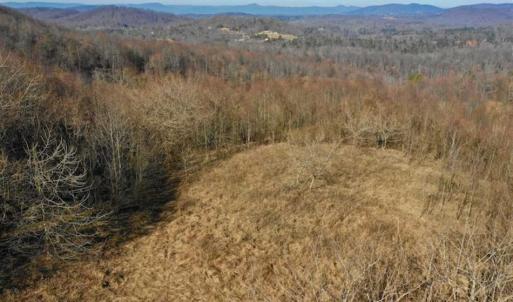 Photo of SOLD!!  81 Acres of Hunting and Recreational Land For Sale in Franklin County VA!
