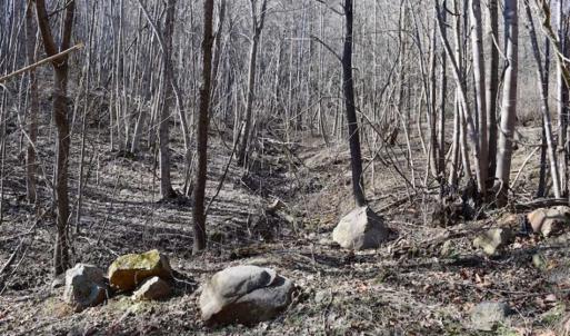 Photo of SOLD!!  81 Acres of Hunting and Recreational Land For Sale in Franklin County VA!