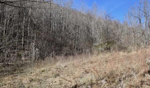 Photo of SOLD!!  81 Acres of Hunting and Recreational Land For Sale in Franklin County VA!