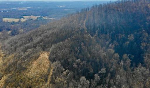 Photo of SOLD!!  81 Acres of Hunting and Recreational Land For Sale in Franklin County VA!