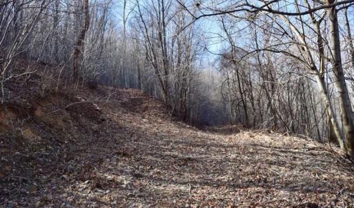 Photo of SOLD!!  81 Acres of Hunting and Recreational Land For Sale in Franklin County VA!