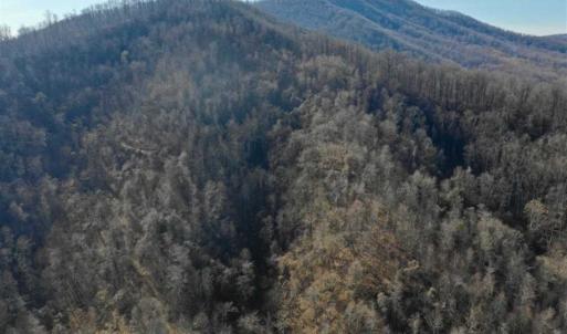 Photo of SOLD!!  81 Acres of Hunting and Recreational Land For Sale in Franklin County VA!