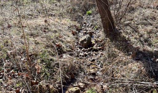 Photo of SOLD!!  81 Acres of Hunting and Recreational Land For Sale in Franklin County VA!