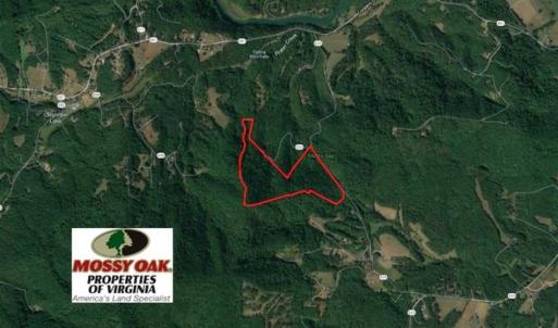 Photo of SOLD!!  81 Acres of Hunting and Recreational Land For Sale in Franklin County VA!