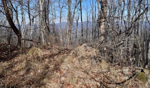 Photo of SOLD!!  81 Acres of Hunting and Recreational Land For Sale in Franklin County VA!
