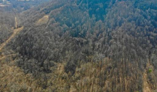 Photo of SOLD!!  81 Acres of Hunting and Recreational Land For Sale in Franklin County VA!