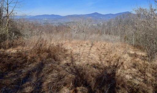Photo of SOLD!!  81 Acres of Hunting and Recreational Land For Sale in Franklin County VA!