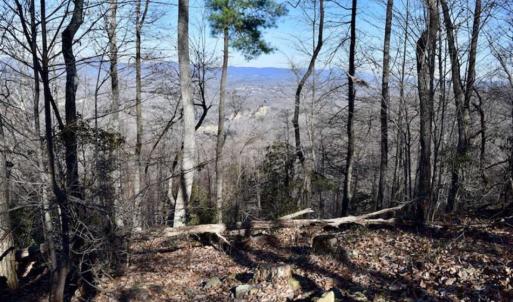 Photo of SOLD!!  81 Acres of Hunting and Recreational Land For Sale in Franklin County VA!