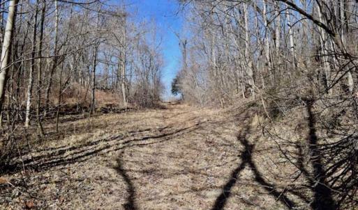 Photo of SOLD!!  81 Acres of Hunting and Recreational Land For Sale in Franklin County VA!
