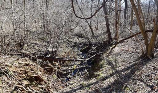 Photo of SOLD!!  81 Acres of Hunting and Recreational Land For Sale in Franklin County VA!